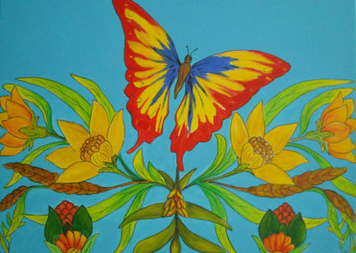 Farfalla | 30x40 acrilico